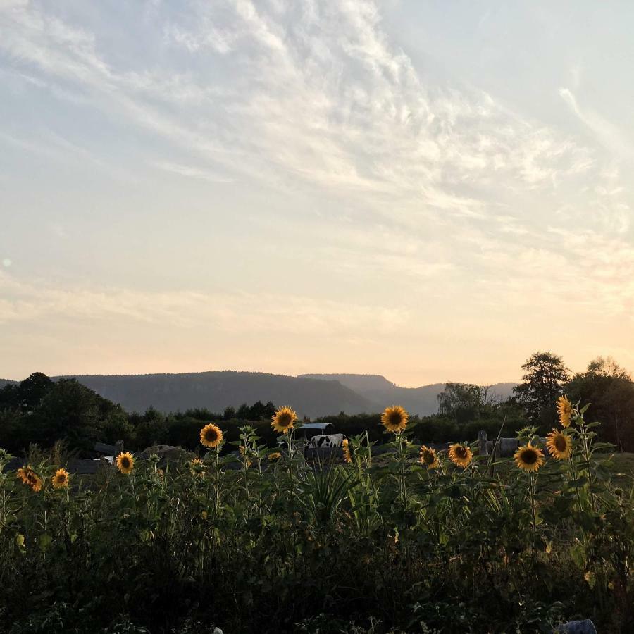 라트코프 Siedem Lanow 빌라 외부 사진